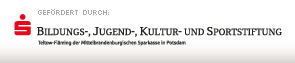 Sparkassen-Stiftung